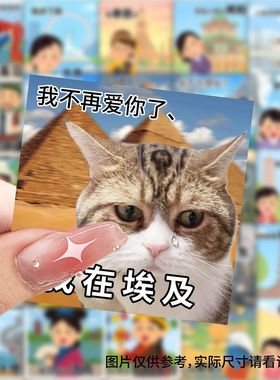 【大图释官方授权】118张城市旅游谐音梗表情包抽象贴纸自粘贴画