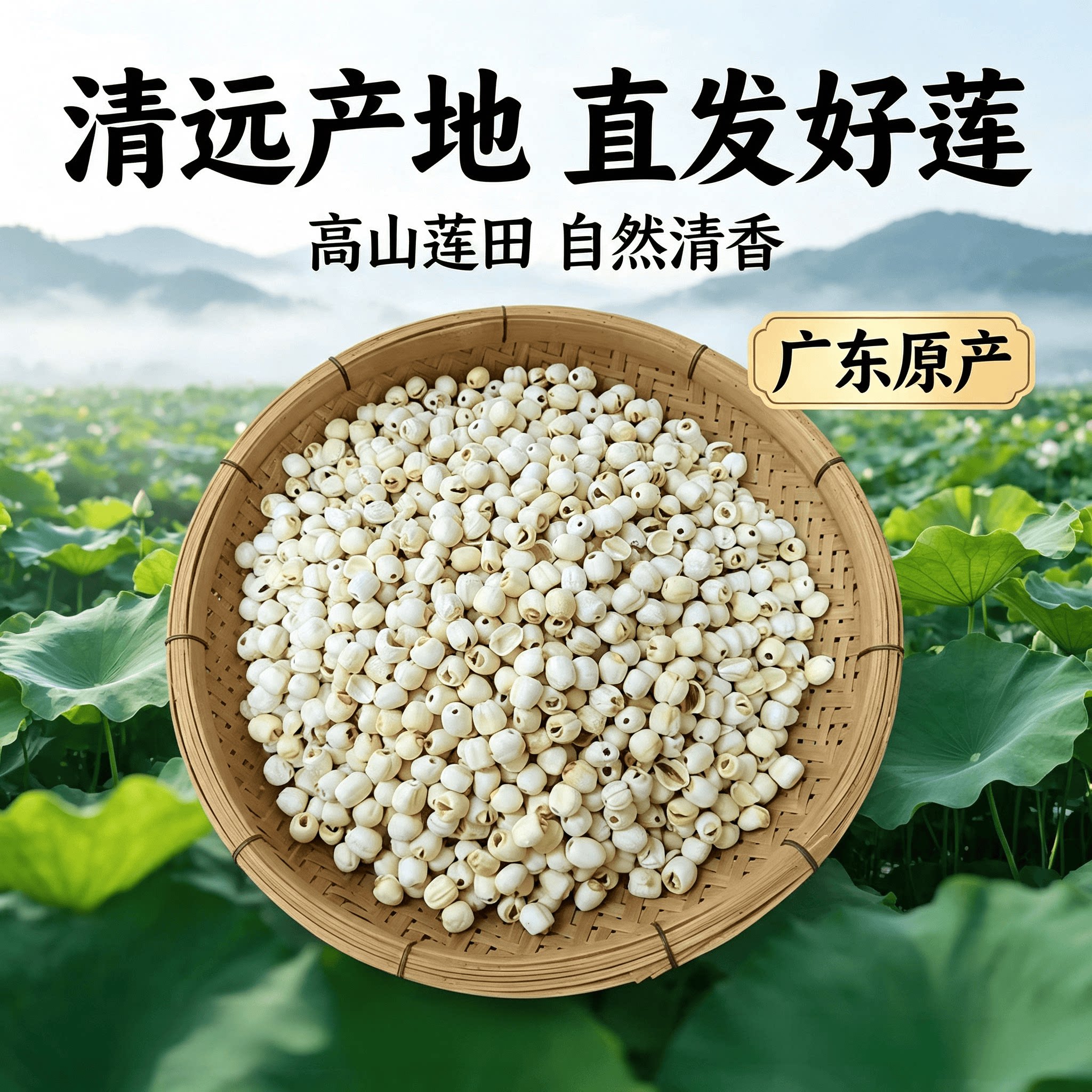广东农家自产干货去芯白莲子无硫煲汤煮粥搭百合桂圆特级新鲜500g