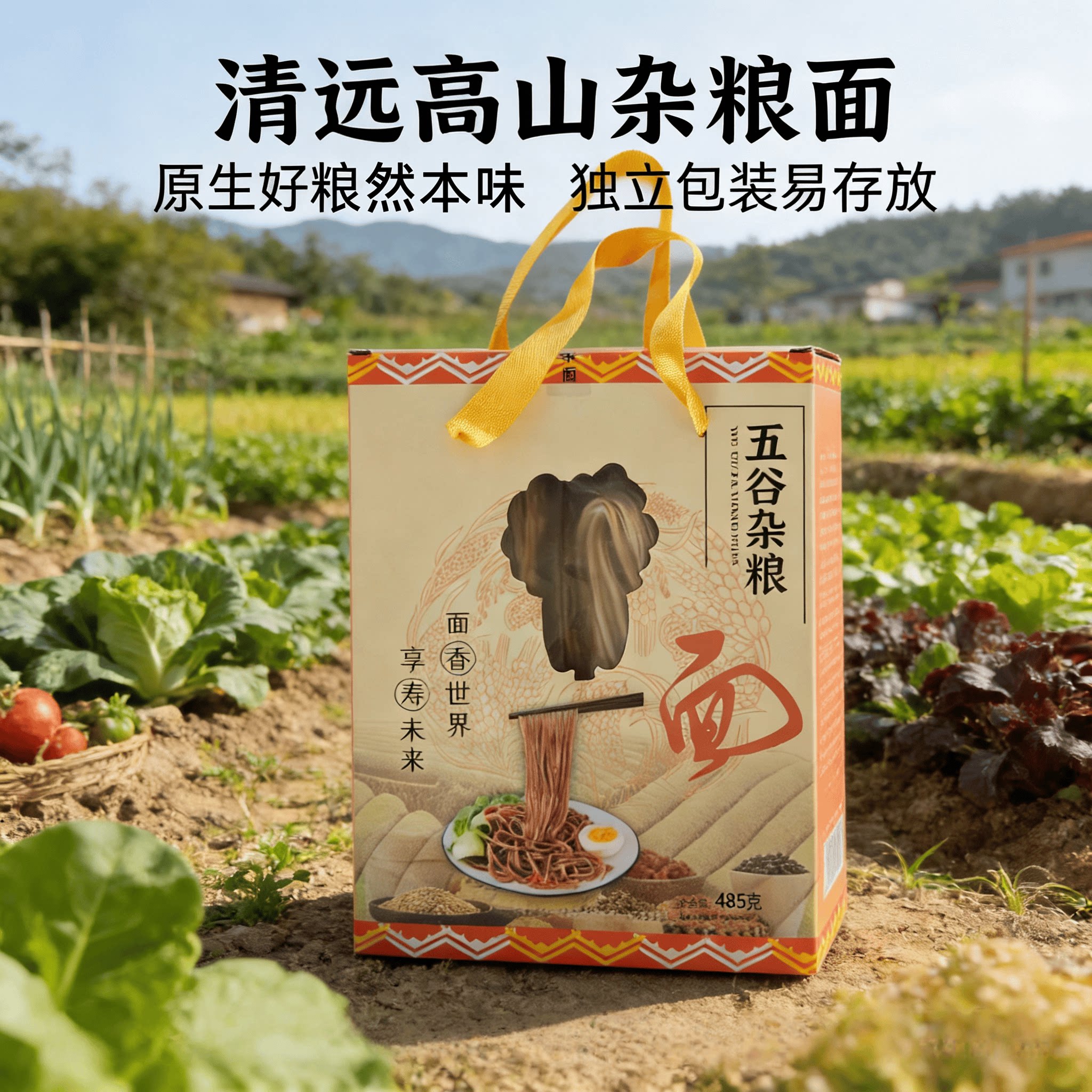 广东粤北清远高山独立包装手工五谷杂粮水煮面条老人小孩早午晚餐