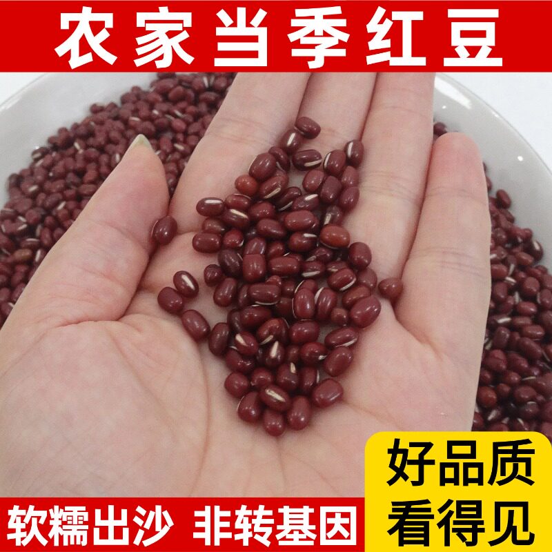 广东新货红豆本地农家自种煲汤煲糖水红豆沙红豆糕原料杂粮豆易煮