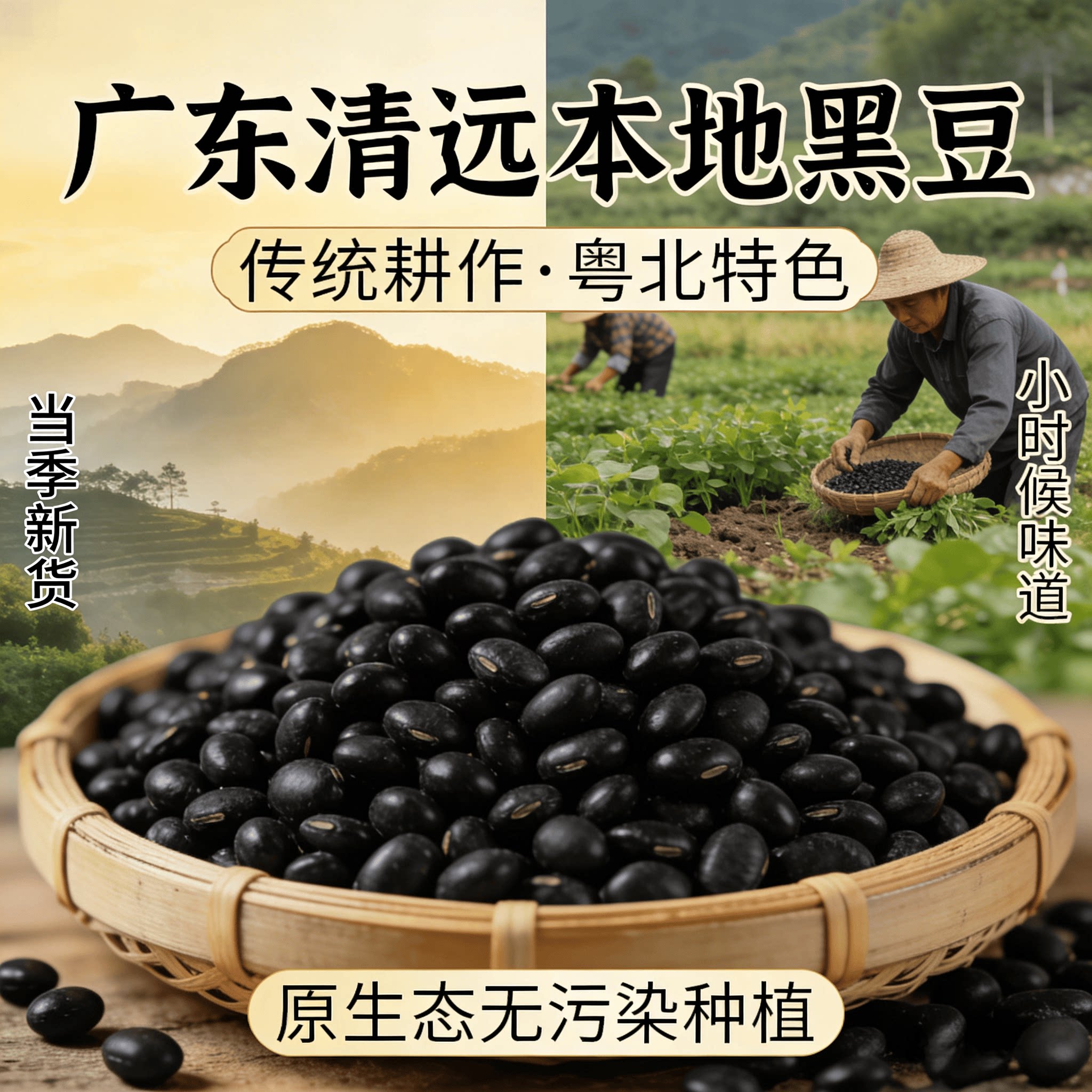 广东正宗岭南农家本地自种黄心绿芯种子黑豆打豆浆专用非药用新货图片