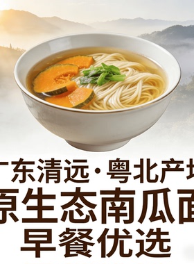 广东正宗独立小包装老人宝宝都适合无添加手工南瓜面条礼盒装485g