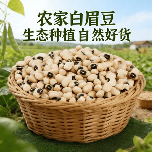 广东农家本地自种当季新鲜白眉豆煲汤白豆缸豆饭豆新干货烘焙佳品