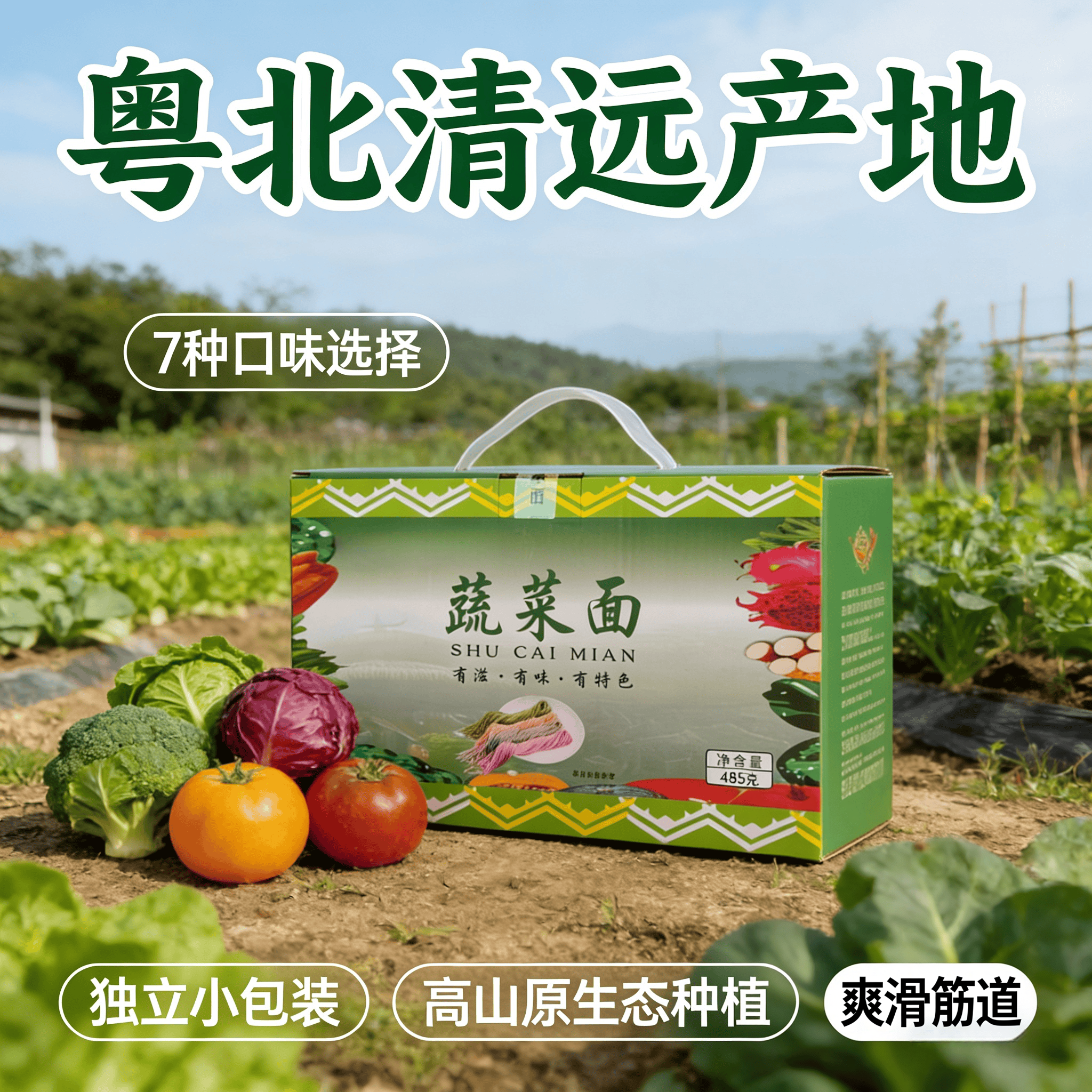 广东高山蔬菜挂面山药菜心淮山紫薯南瓜红萝卜黄桃火龙果原味面条
