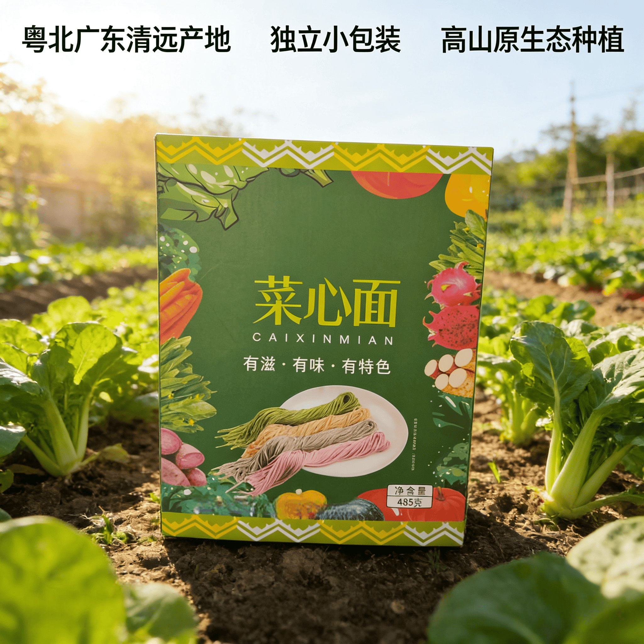 广东清远正宗高山独立包装原味手工菜心水煮挂面条老人小孩早晚餐