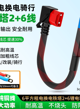 2+6铁塔星恒光宇换电动车电源线加粗纯铜6平耐高温大功率改装插头