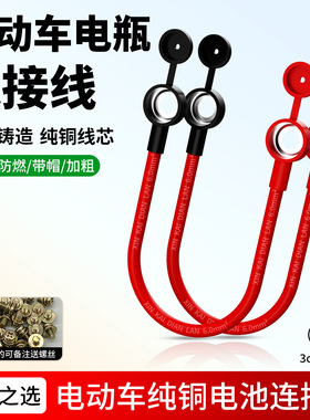 纯铜加粗6平方电动车电瓶连接线48V60V72V84V铅酸串联电池连接线