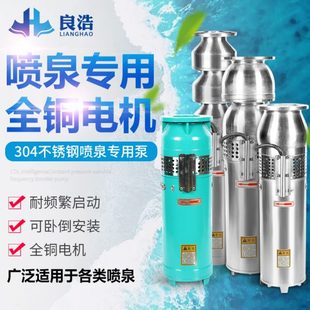 假山30喷泉泵泵265景观2.Q潜水泵SPSQ7喷泉小别墅 区喷泉不锈钢