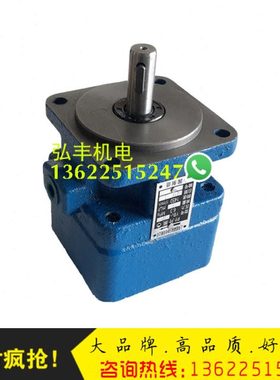 叶片泵YB1-16/YB1-25/YB1-32/YB1-40/YB1-50/YB1-63压铸机现货