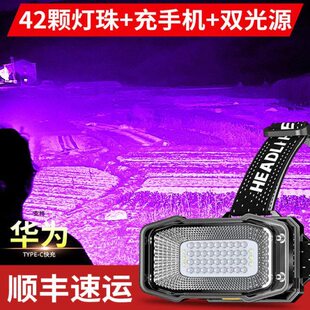 头戴式蝎子灯2024新款专用强光款大功率型红光头灯养蜂专用手电筒