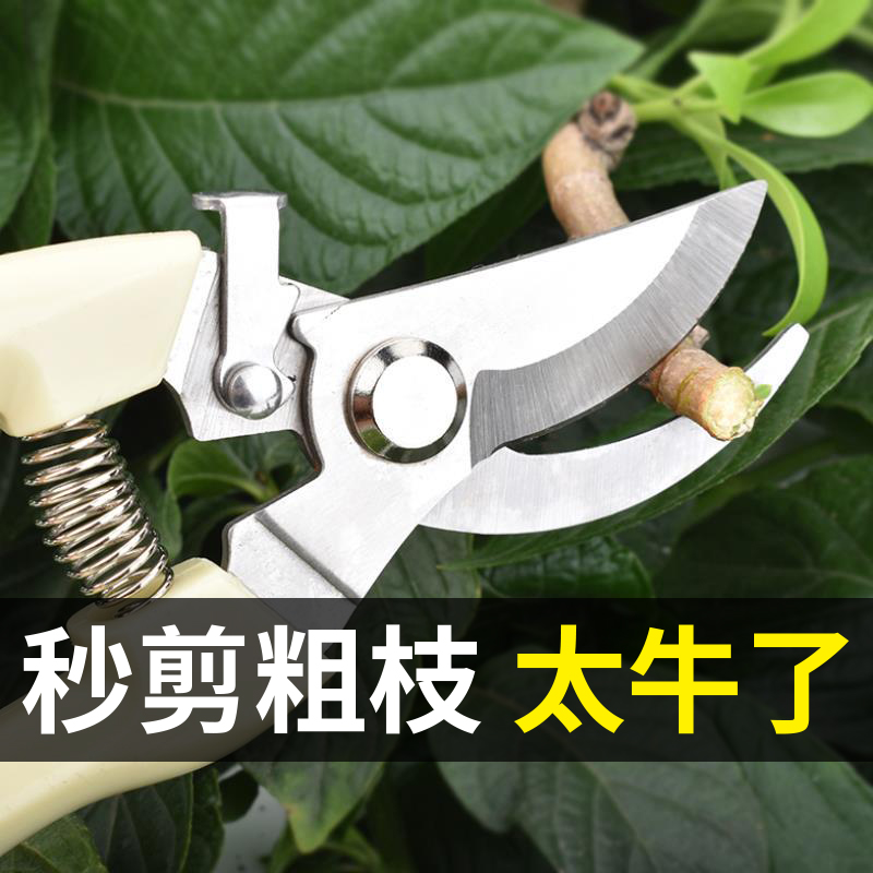 剪枝剪刀园林花艺修剪树枝剪刀果树剪刀粗大花剪园艺剪子工具