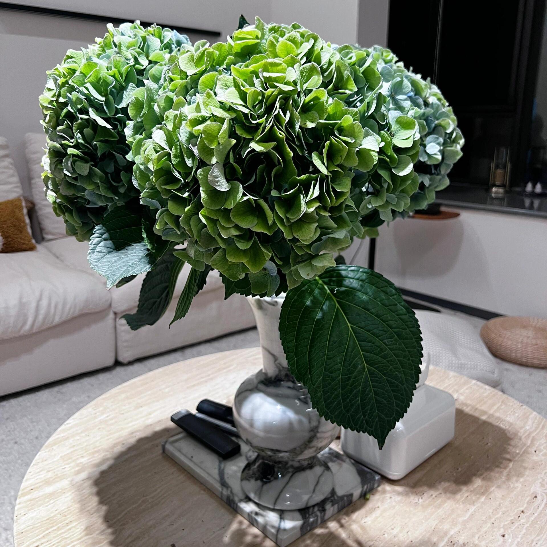 【好红专属】大叶绿绣球永生花点缀装饰直播间茶几客厅办公室