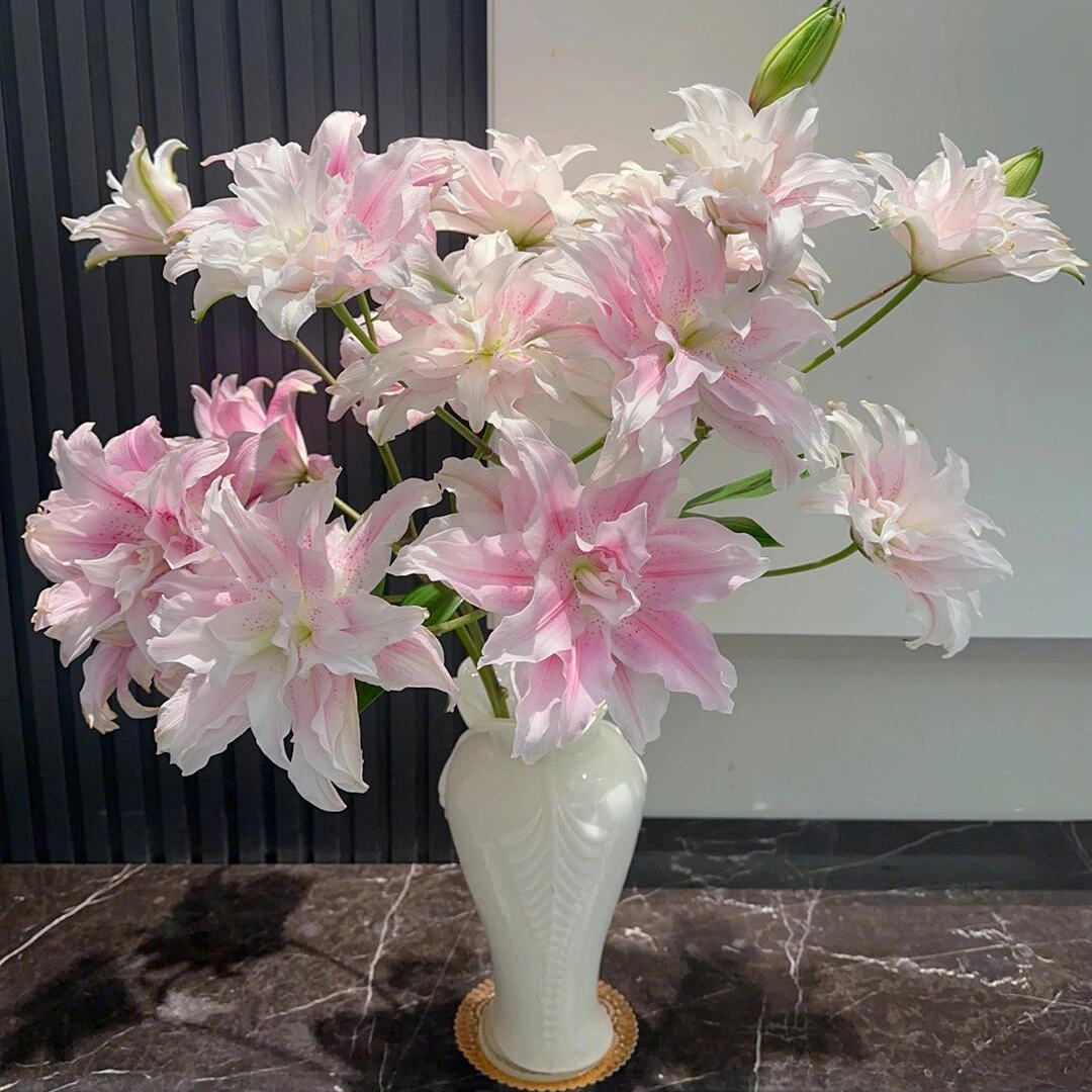 【蜜蜂惊喜社】玫瑰牡丹菊百合鲜切花云南基地直发水养家用