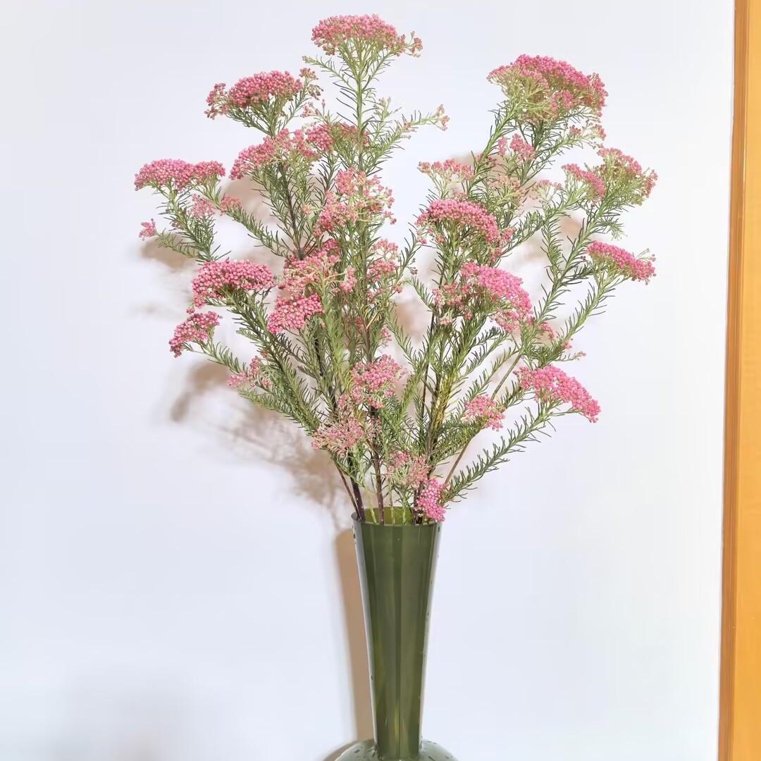 【梦森林专属】粉色小米花鲜切花 清新少女心 家居水养插花-