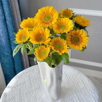 高品质绿心向日葵氛围感花材