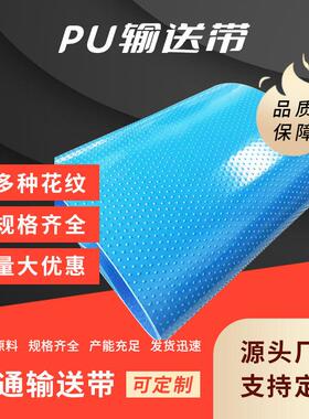 定制白色蓝色透明流水线食品输送带小型耐高温裙边挡板食品输送带