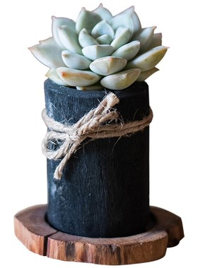 掬涵天然木炭迷你小花盆带托盘环保除臭净化空气装饰多肉绿植