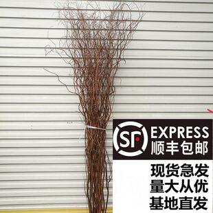 龙柳曲柳干枝干花树枝婚庆拱门装饰客厅落地玄关隔断橱窗网红鸟巢