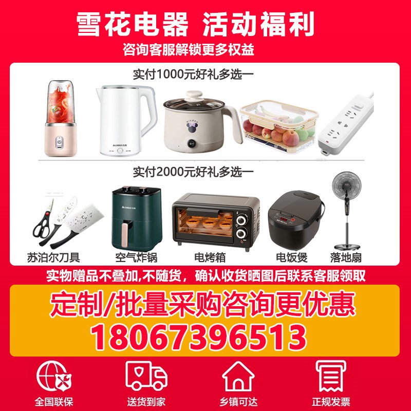 雪花冷藏展示柜饮料柜立式冰箱保鲜柜双开门冷饮超市商用啤酒冰柜