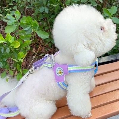 狗狗牵引绳小型犬背心式遛狗绳比熊泰迪宠物胸背带博美防挣脱狗链