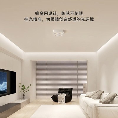 超薄明装射灯全光谱防眩四头斗胆灯客厅无主灯照明智能明装筒灯