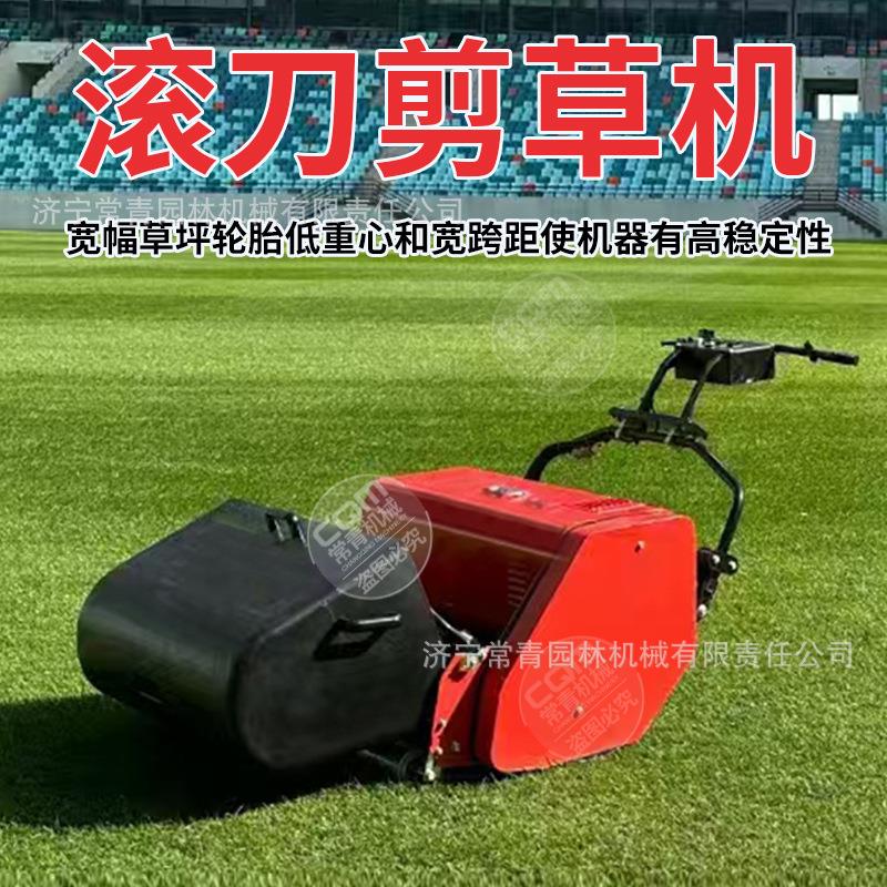 滚刀剪草机电动绿篱机剪茶叶采茶机修剪机单人便携式充电采摘机