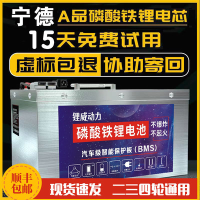 磷酸铁锂电动车锂电池48v60wv72v大容量外卖快递二三四轮专用电瓶