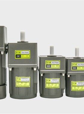 6W15W25W40W60W120W180W200W250W300W400W齿轮调定减速变频电机