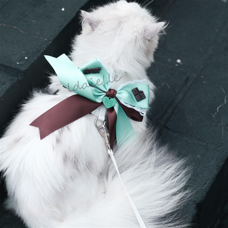 薄荷曼波绿咖色甜美复古蝴蝶结猫咪小型犬牵引绳防挣脱遛背带外出