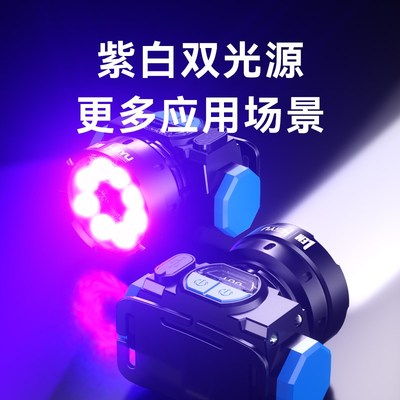 LEM蝎子灯2025新款专用强光款大功率型充电紫光头灯长续航头戴式