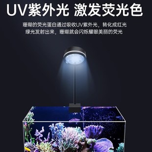 鱼缸海缸灯手机定时全光谱led三基色海水缸水草珊瑚造景透镜夹灯