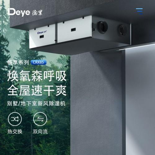 德业双向流热交换新风除湿机吊顶吊装式除湿器DY-CRX85