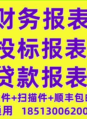 投标审计咨询财务报表年度银行报表Exce制作四表一注表格模板包邮