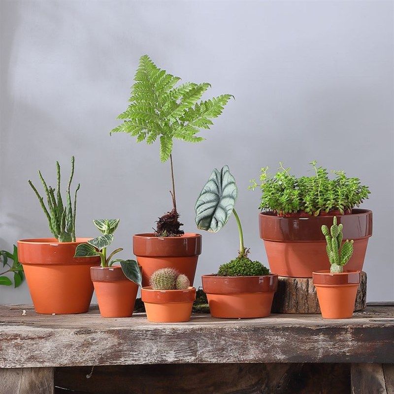 日式常滑烧日式风格红陶素烧盆景培养花盆带底孔透气红陶土陶瓷