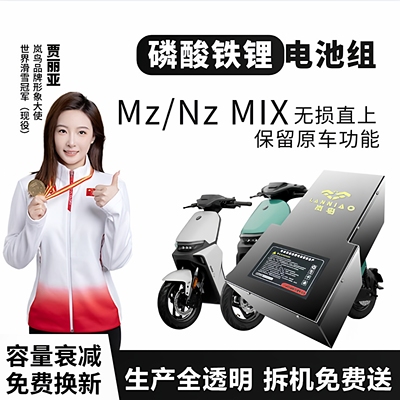 岚鸟电动车锂电池磷酸铁锂不起火