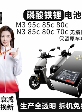 九号M395C 85C N385C 70C直上岚鸟磷酸铁锂电池电动车续航增程