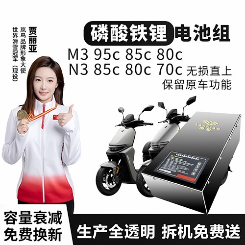 九号M395C磷酸铁锂电池