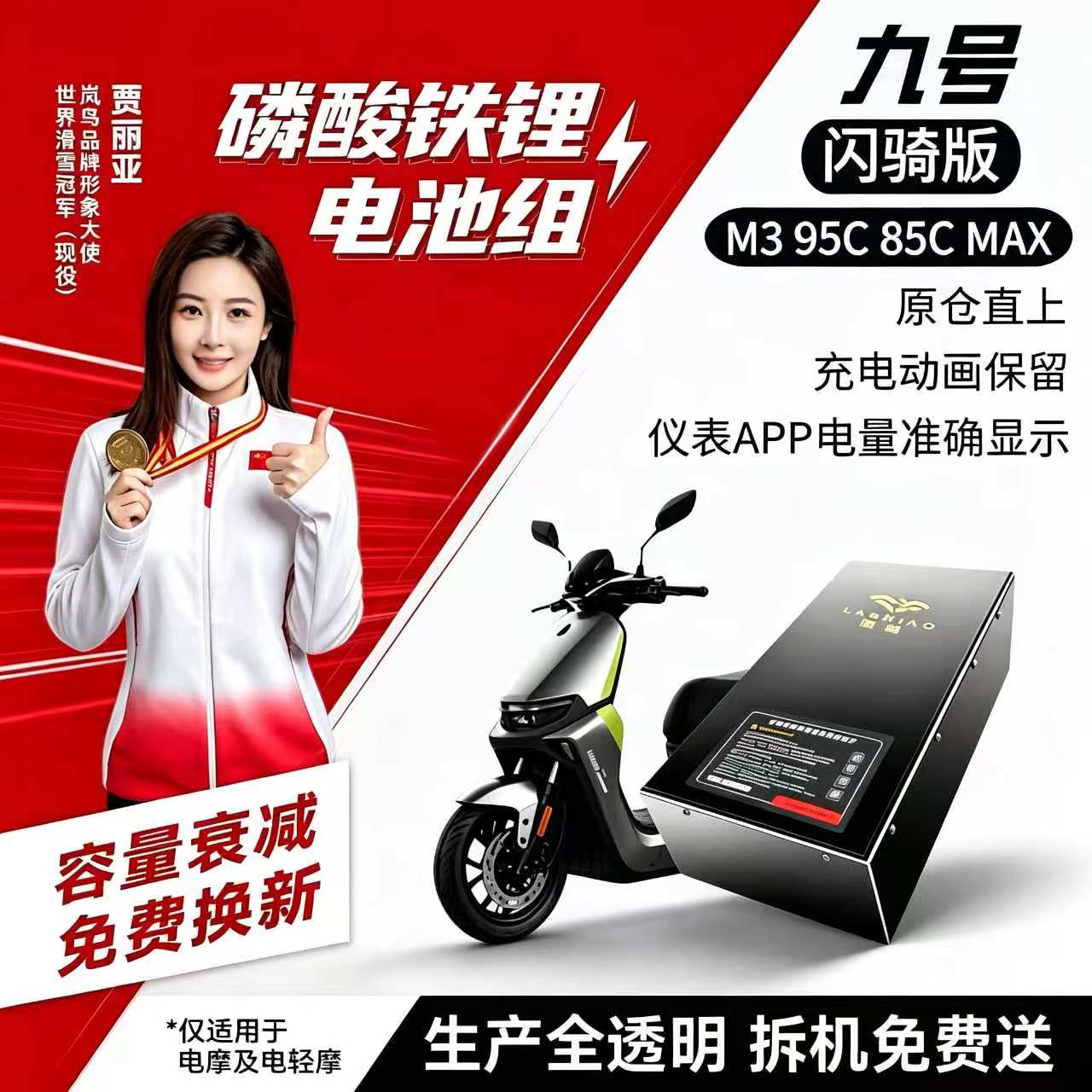 九号无损直上岚鸟72V铁锂电池