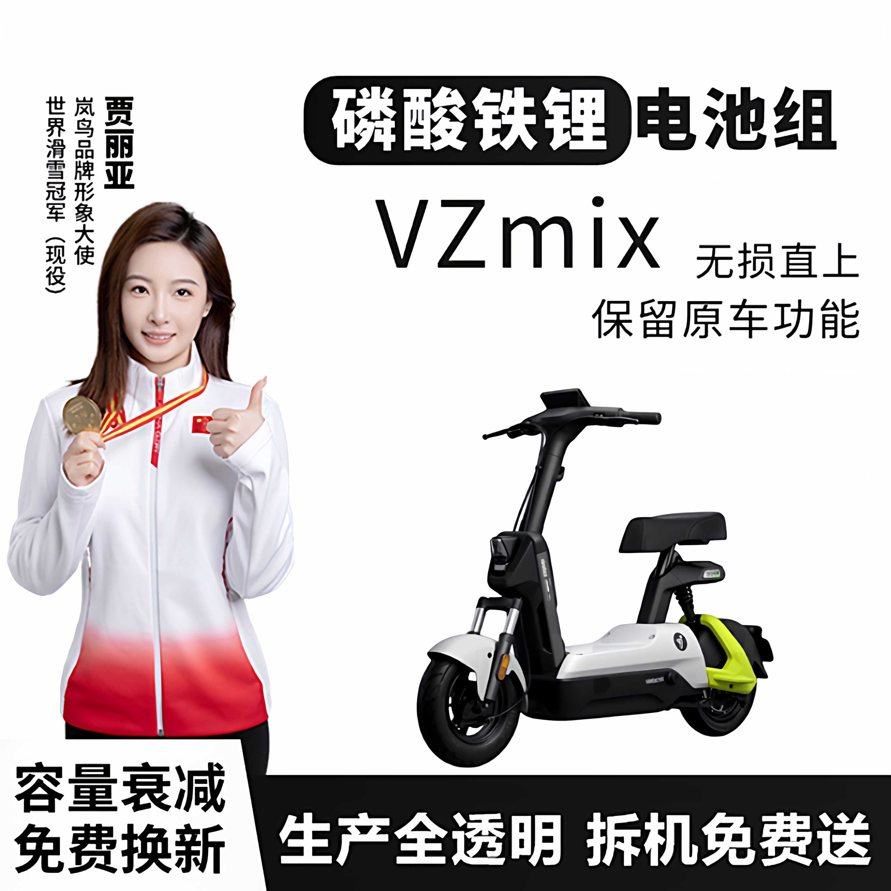 九号电动车VZmix磷酸铁锂电池