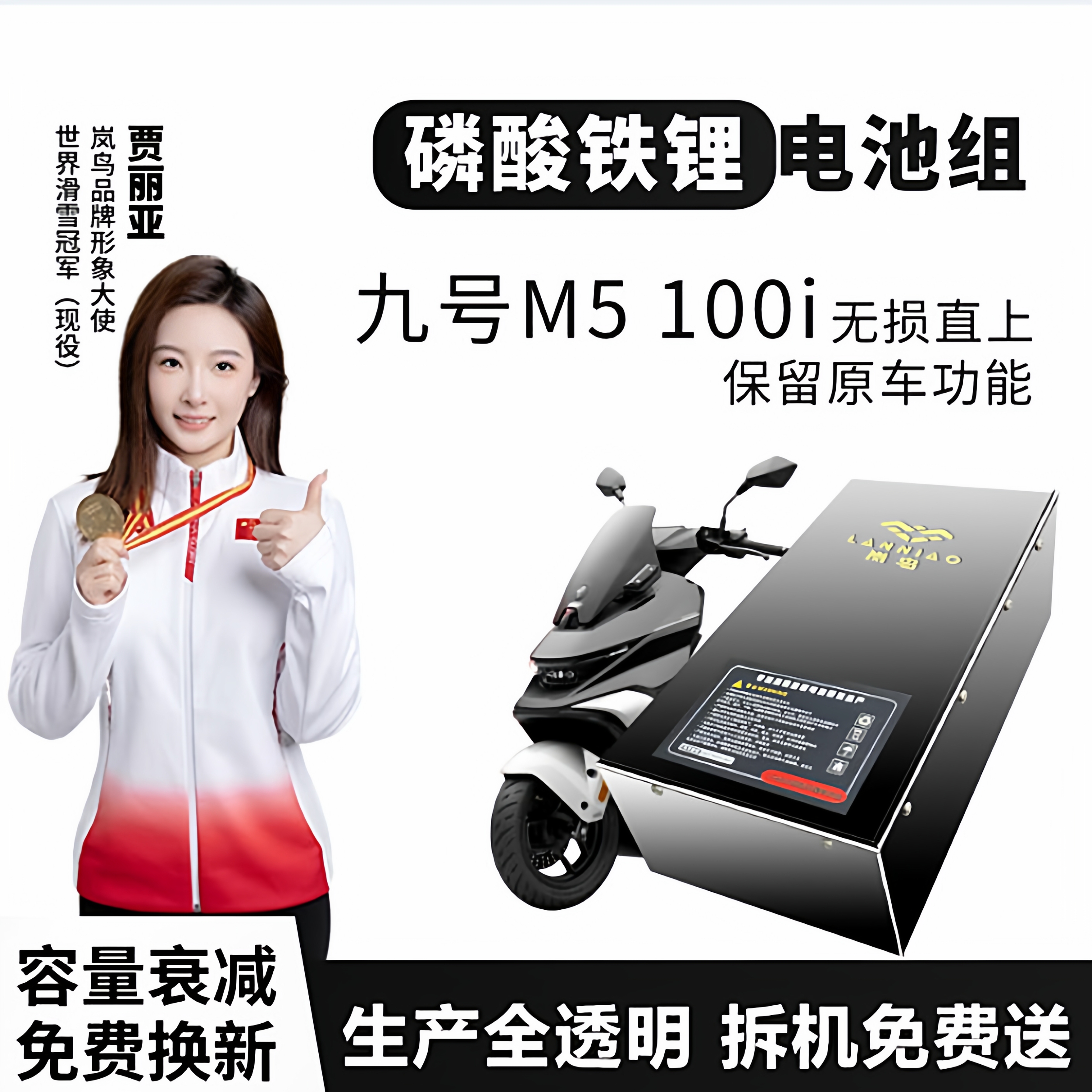 九号M5100i岚鸟72V磷酸铁锂电池