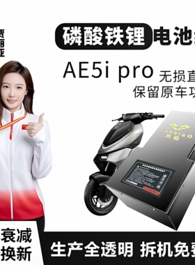 极核电动车AE5ipro岚鸟磷酸铁锂电池无损直上保留原车功能增程