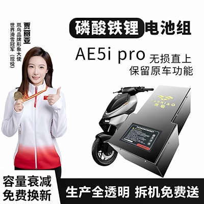 极核AE5i直上岚鸟磷酸铁锂电池