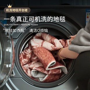 免洗可擦可拆洗地垫中古风高级家用卧室毯 可机洗地毯客厅2025新款