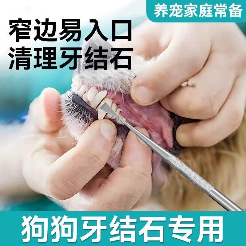 狗狗猫咪牙结石宠物泰迪双头刮牙洗清洁去除牙垢口腔美牙工具套装