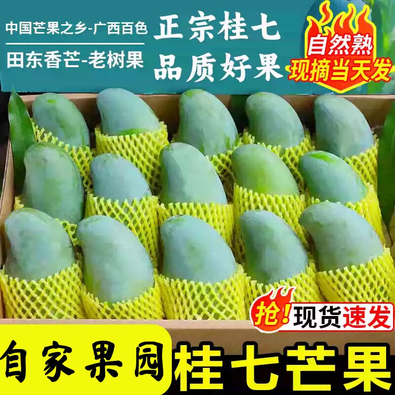 广西百色田东桂七芒果5/9斤新鲜应季水果老树果包邮