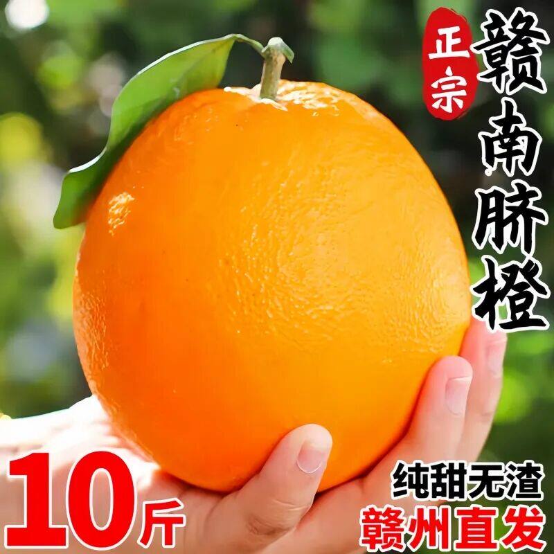 正宗江西赣南脐橙早熟10新鲜当季水大果整箱产地直发手剥橙子甜橙