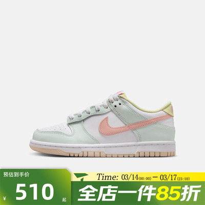 滔搏NIKE耐克大童鞋DUNK  BG运动休闲鞋IV2861-181