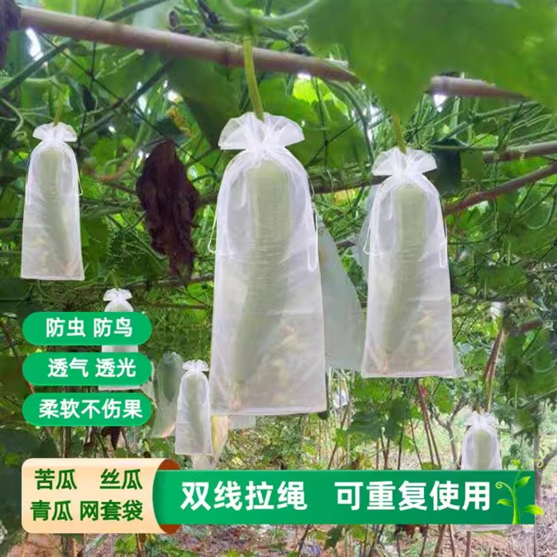 丝瓜黄瓜青瓜苦瓜套袋专用袋防虫袋保护套瓜果蔬菜水果瓜果网套袋