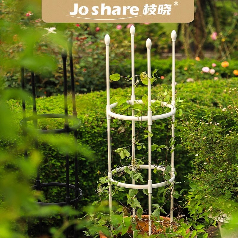 枝晓花架爬藤架花支架爬藤月季攀爬花爬架蔷薇庭院蔷薇花架支撑杆