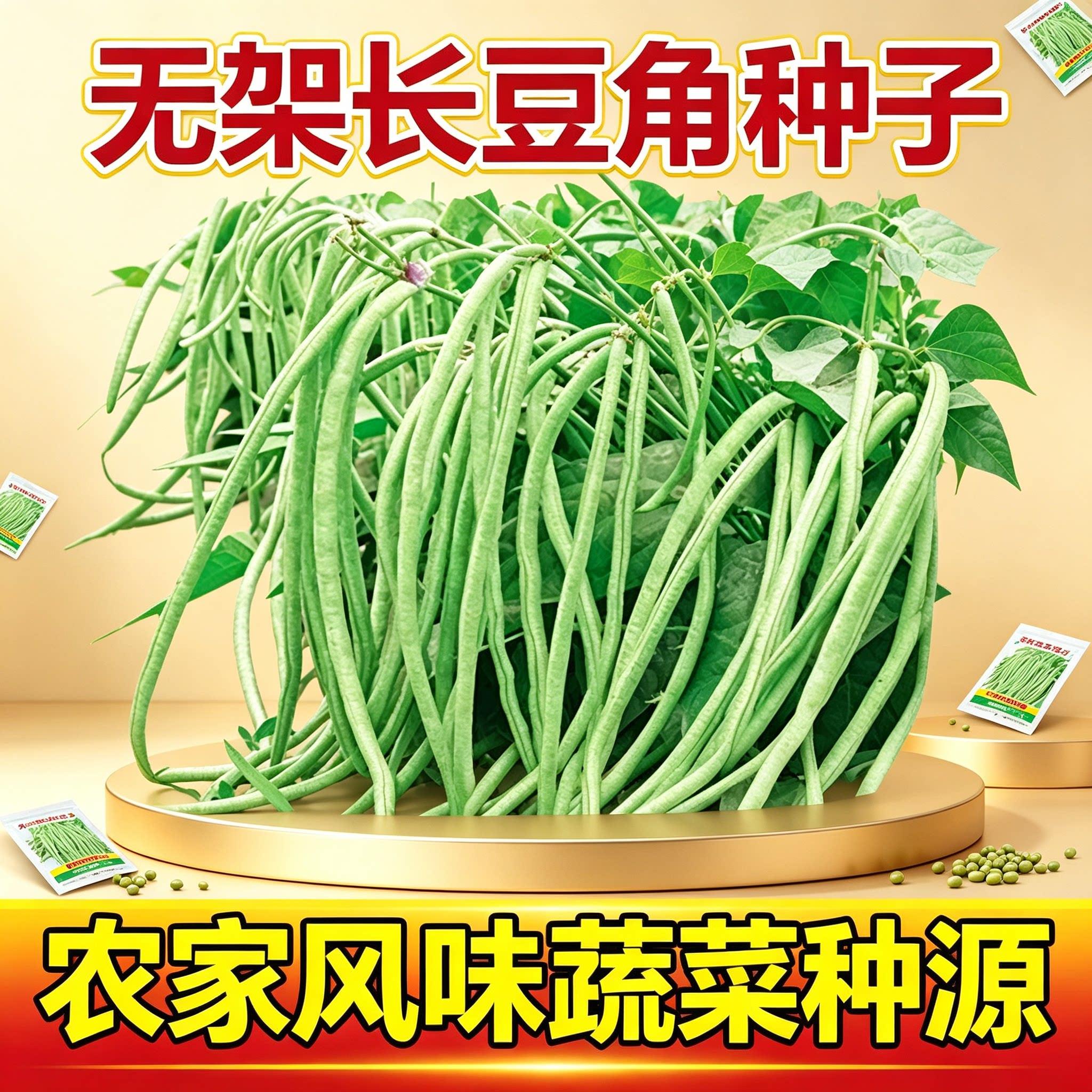 不搭架种植长豆角种籽无图片